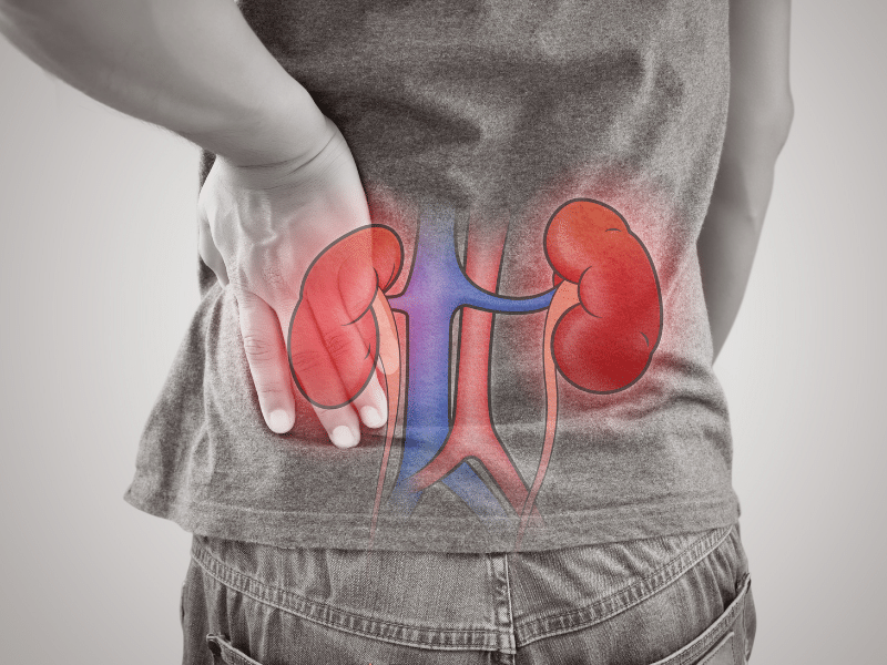 Taking care of kidney health