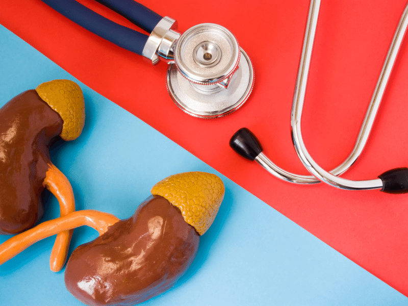Regular preventative check ups for kidney health  