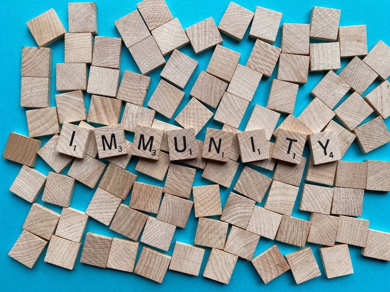 Maintain your immunity 