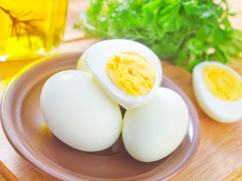 Eggs may boost your metabolism