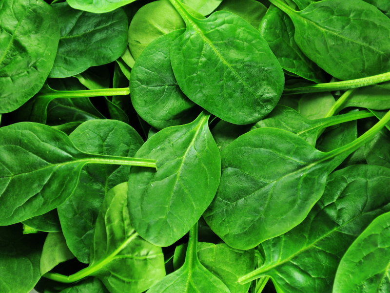 Dark Leafy Green Vegetables helps to increase metabolism