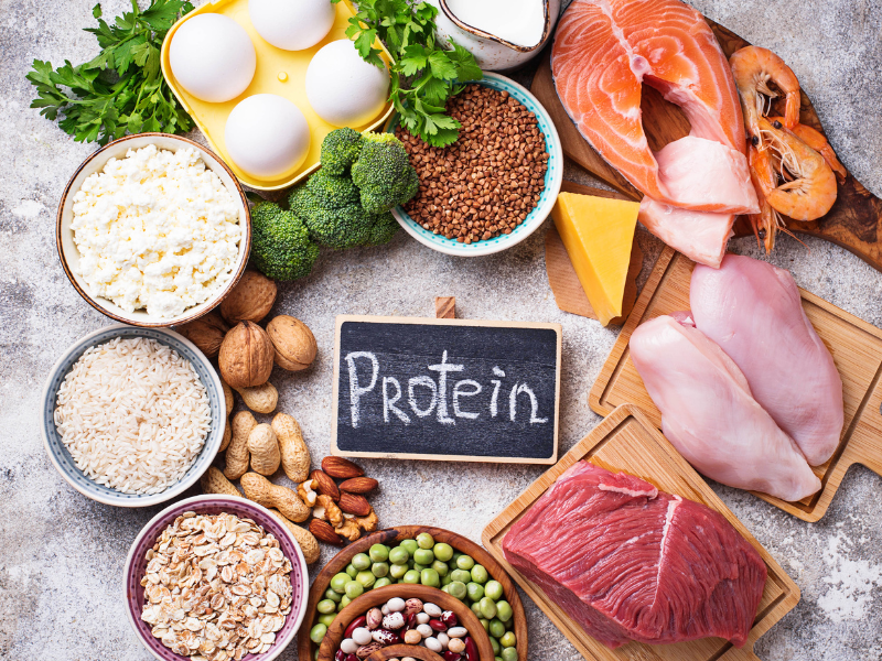 Importance of protein